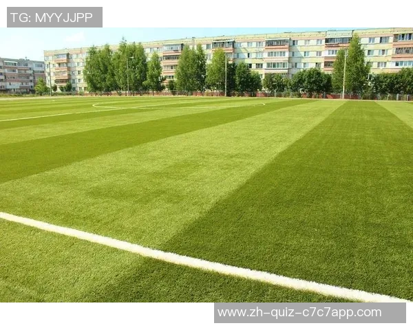 足球场草坪图片大全欣赏及养护技巧分享让你轻松打造完美绿茵场地